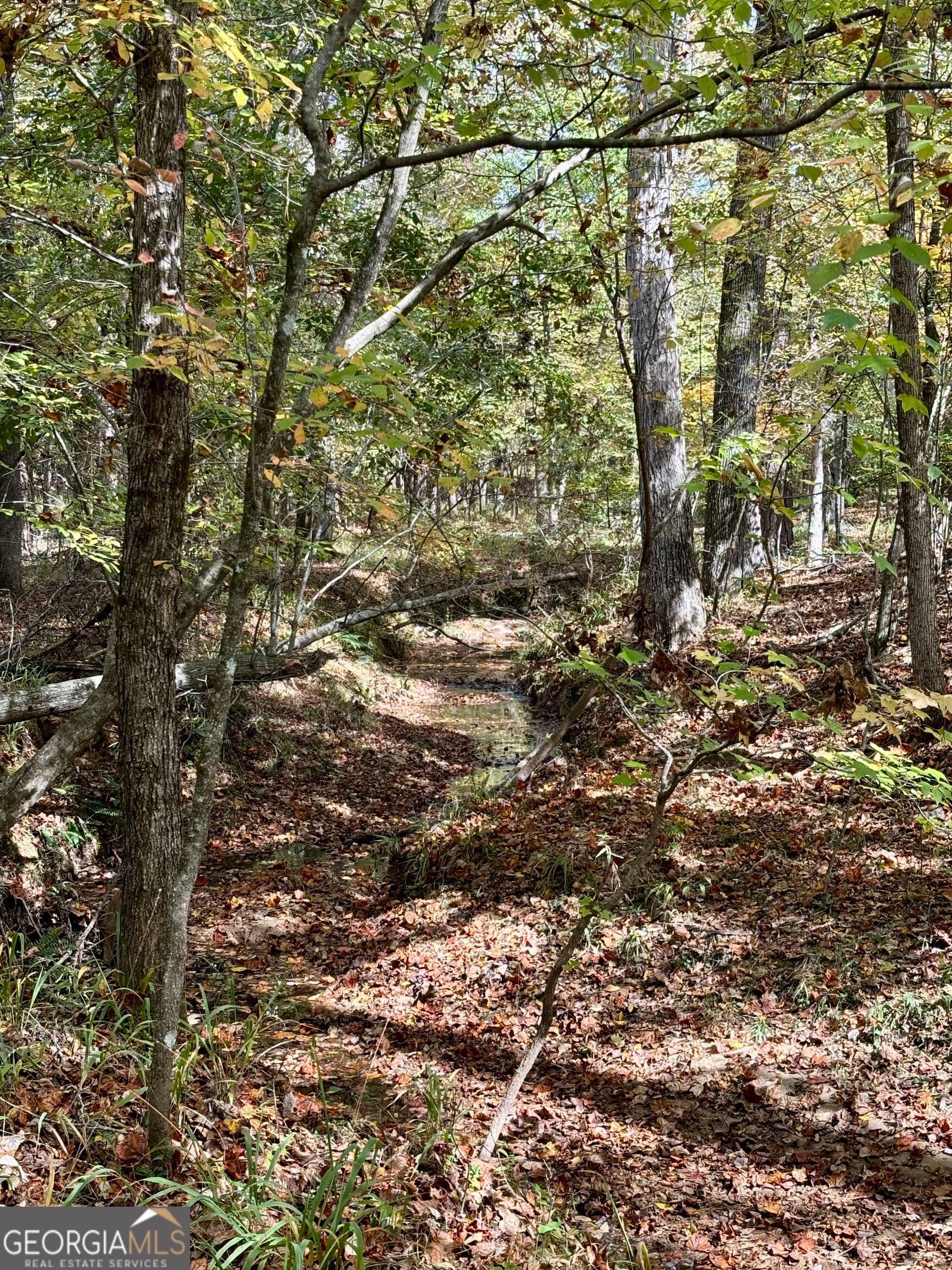 agriculture for sale at 0 Maria Lane, Ellerslie, GA 31807 — photo 9