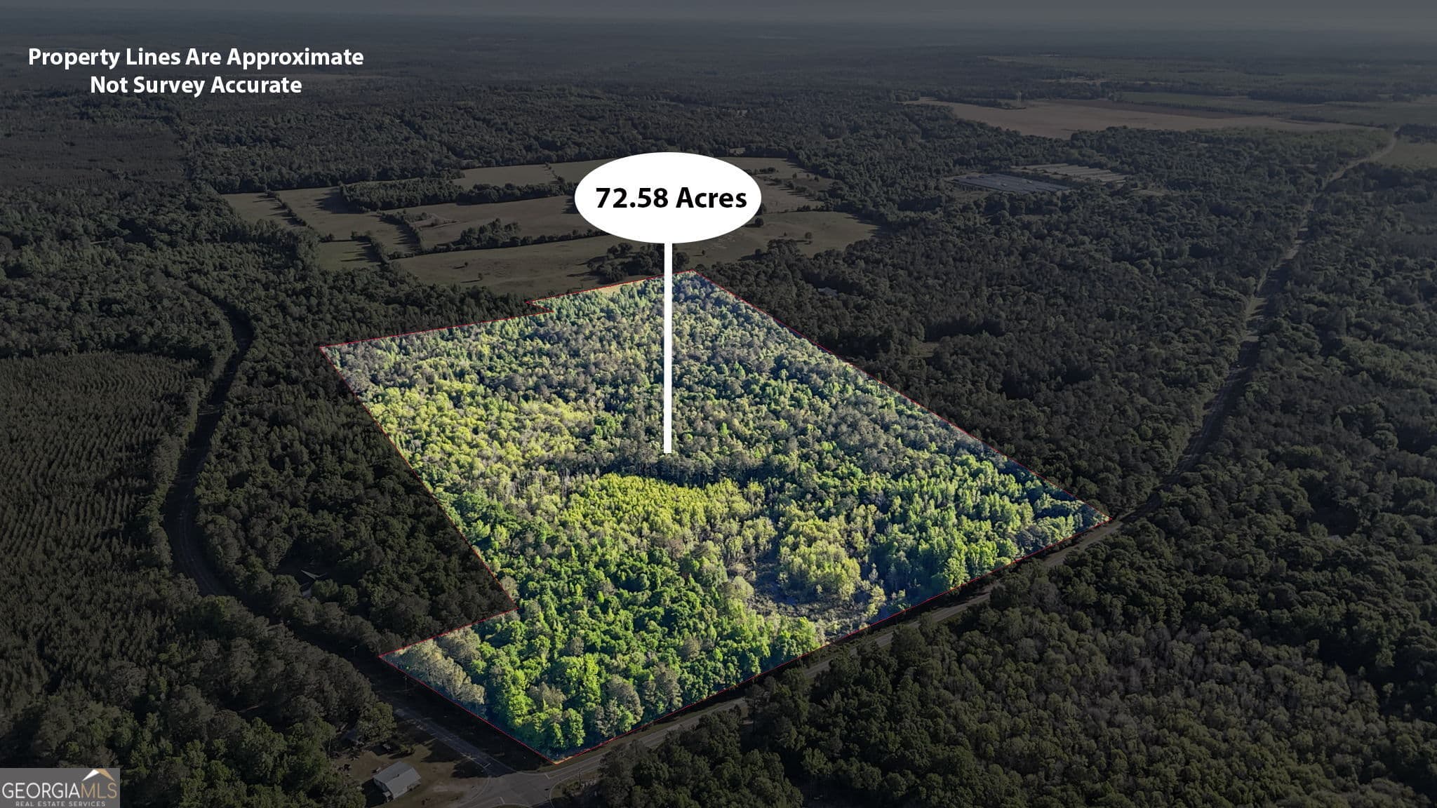 unimproved land for sale at 0 Union Church Road, Fort Valley, GA 31030 — photo 2