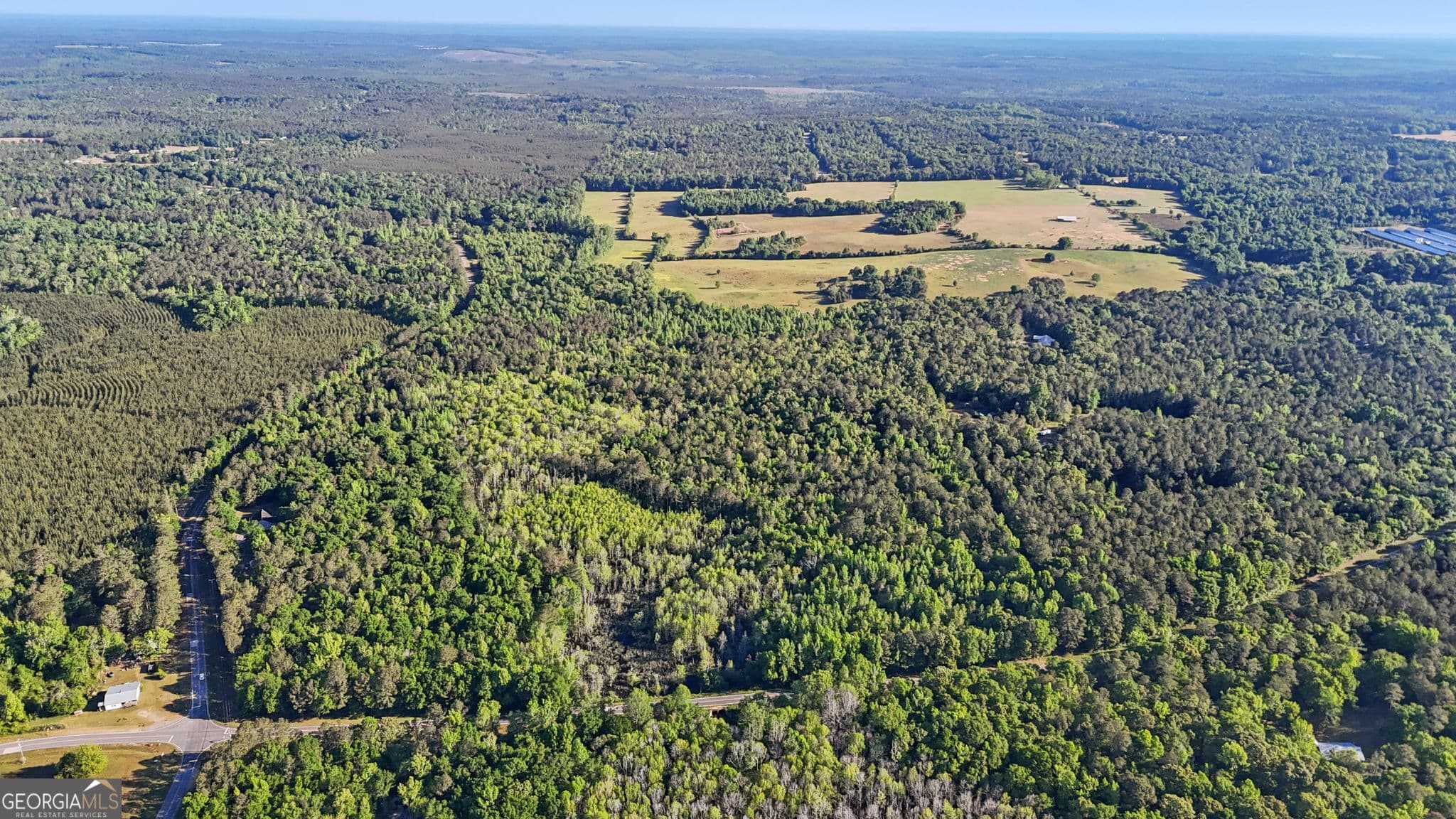 unimproved land for sale at 0 Union Church Road, Fort Valley, GA 31030 — photo 6
