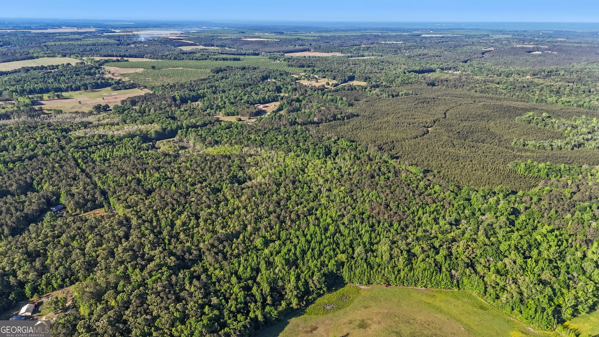 unimproved land for sale at 0 Union Church Road, Fort Valley, GA 31030 — photo 7