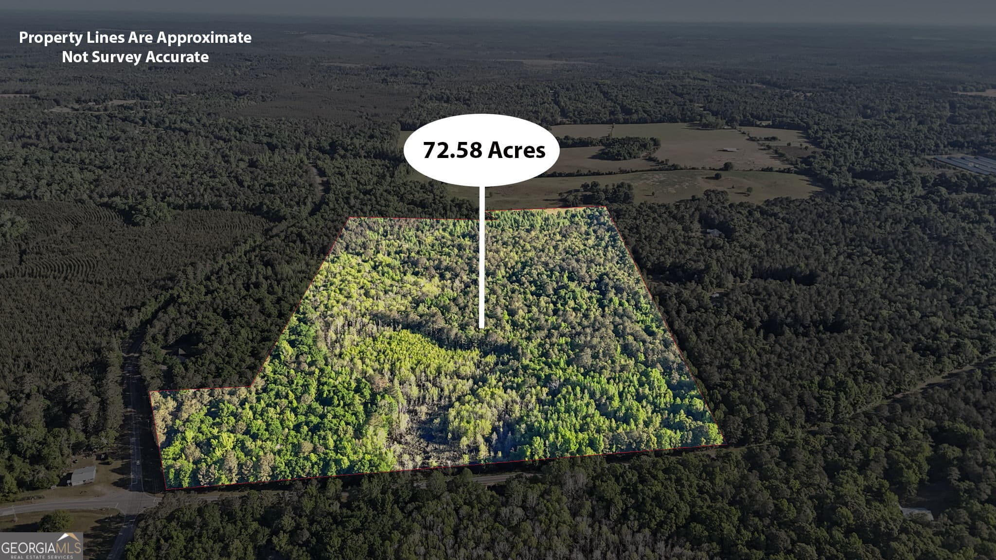 unimproved land for sale at 0 Union Church Road, Fort Valley, GA 31030 — photo 3