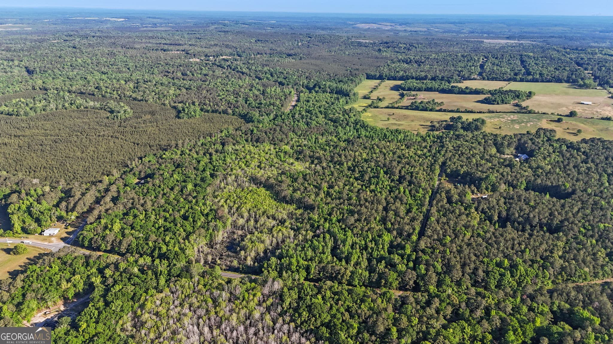 unimproved land for sale at 0 Union Church Road, Fort Valley, GA 31030 — photo 1 of 29