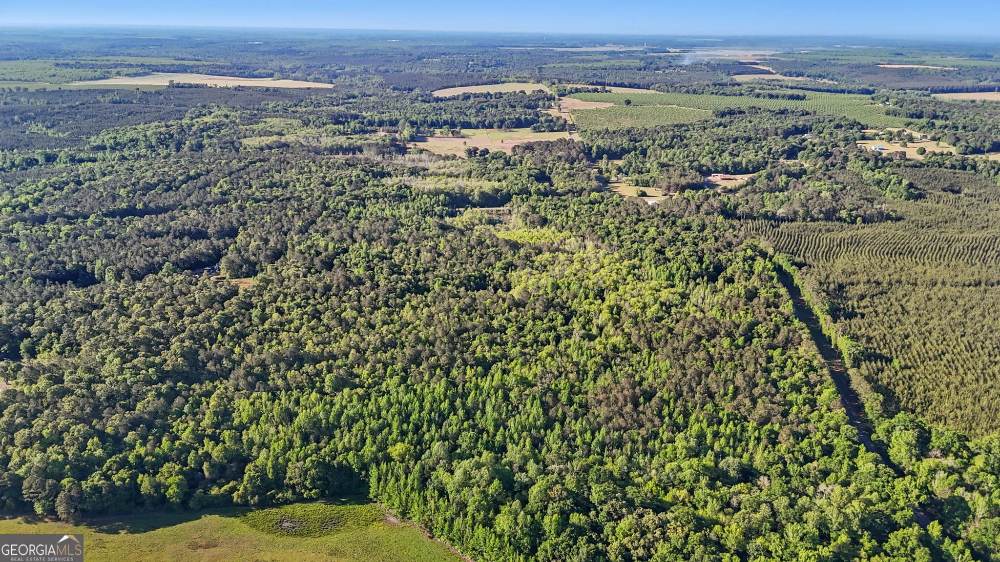 unimproved land for sale at 0 Union Church Road, Fort Valley, GA 31030 — photo 9