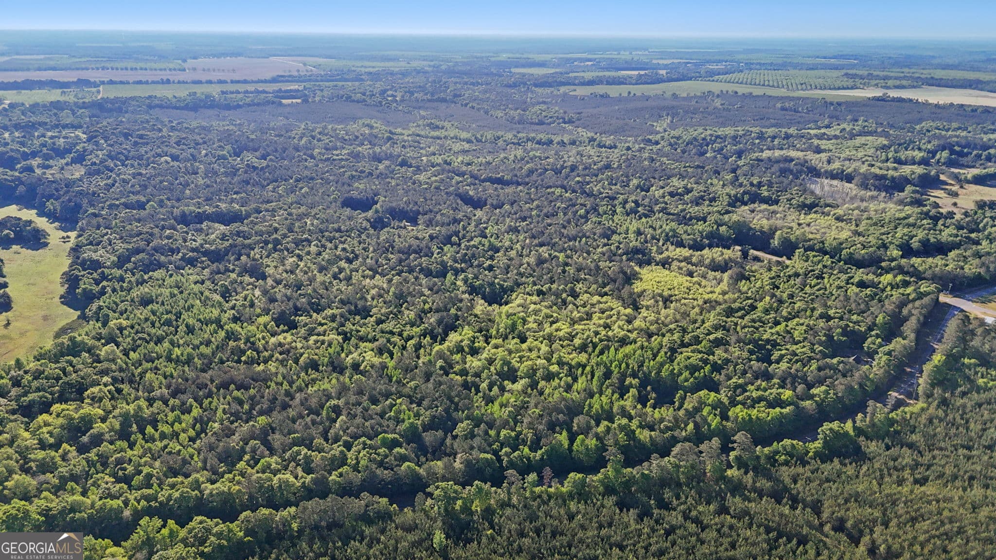 unimproved land for sale at 0 Union Church Road, Fort Valley, GA 31030 — photo 10