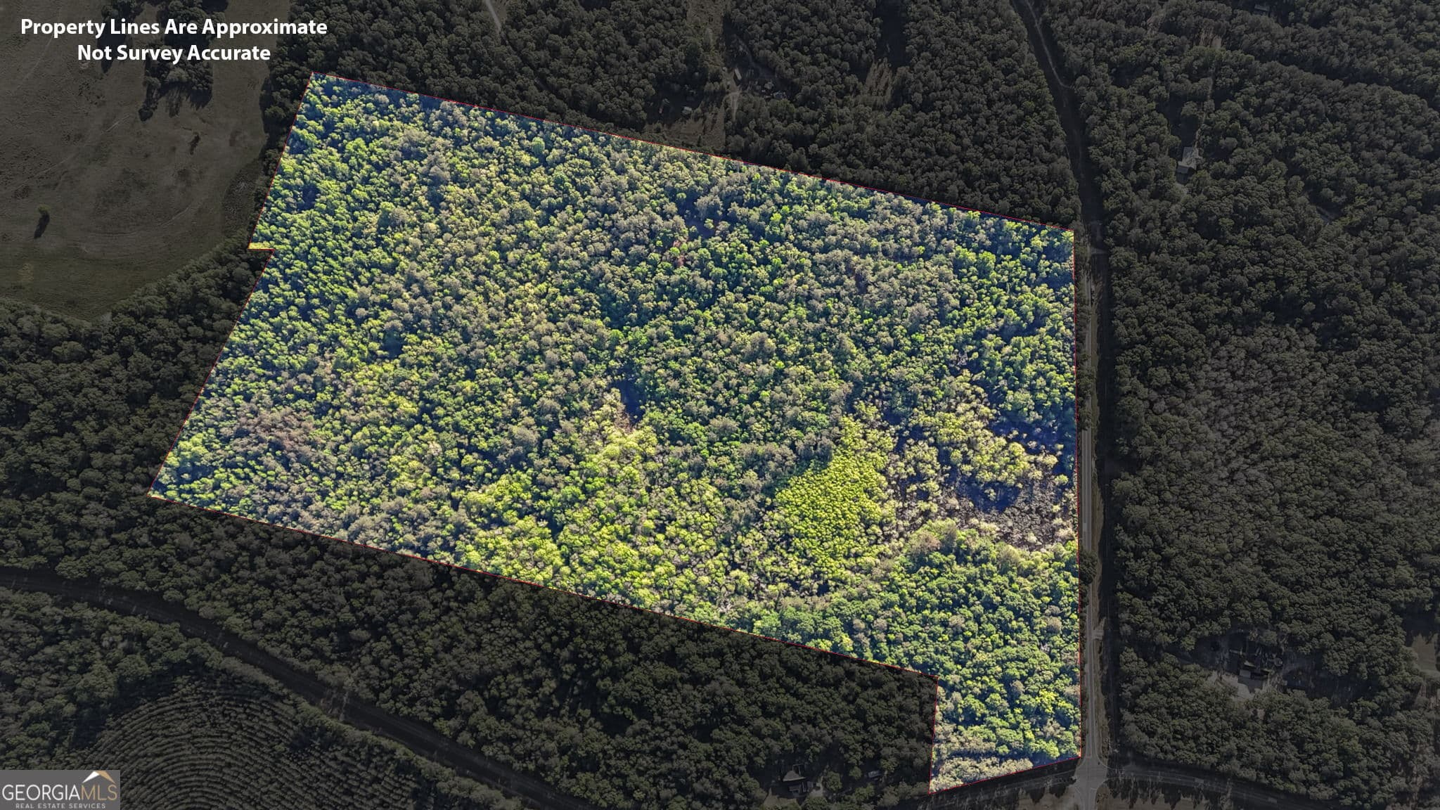 unimproved land for sale at 0 Union Church Road, Fort Valley, GA 31030 — photo 4