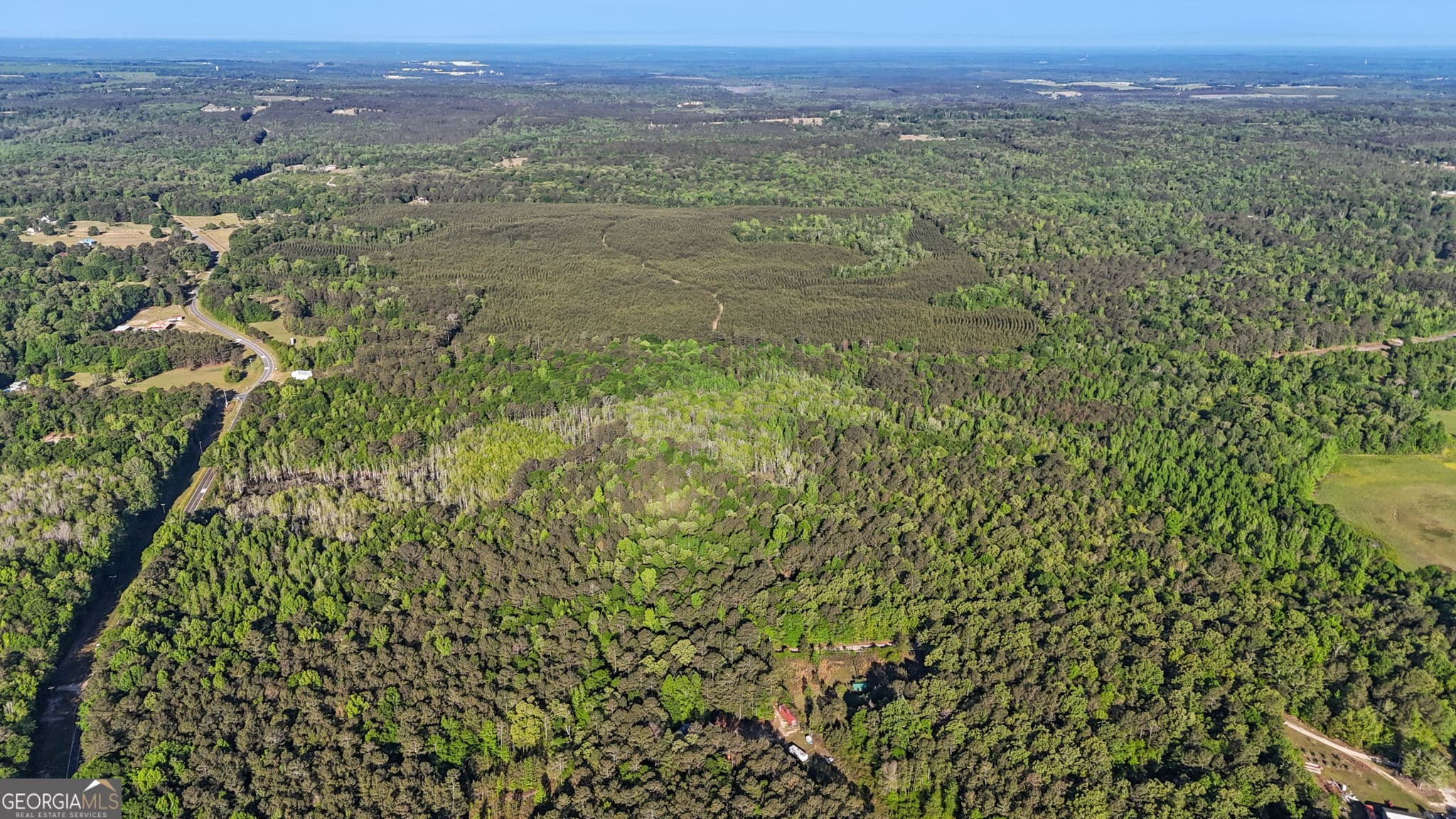 unimproved land for sale at 0 Union Church Road, Fort Valley, GA 31030 — photo 8