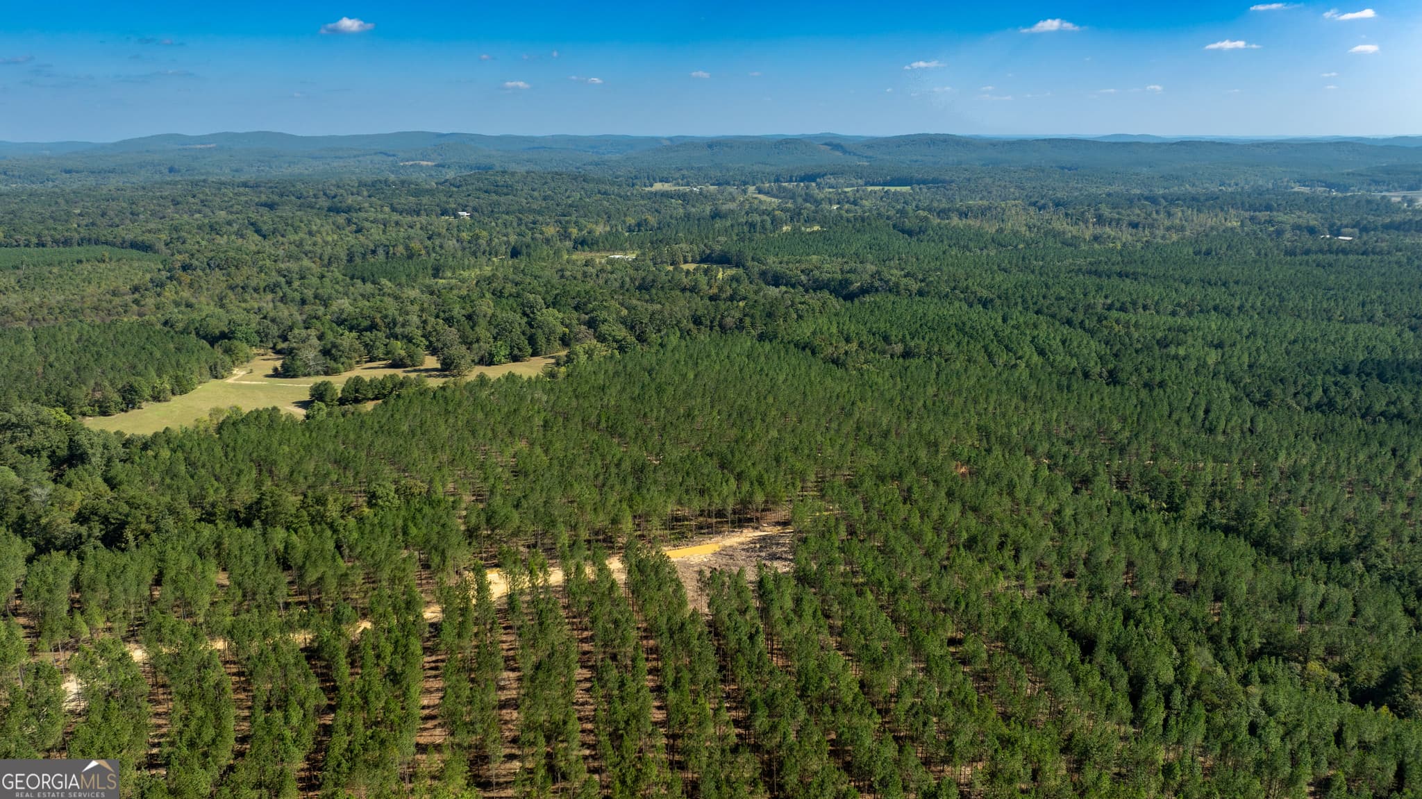 unimproved land for sale at 0 Livingston Road, Rome, GA 30161 — photo 2