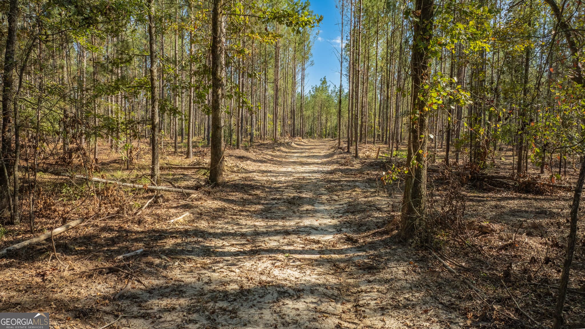 unimproved land for sale at 0 Livingston Road, Rome, GA 30161 — photo 1 of 3