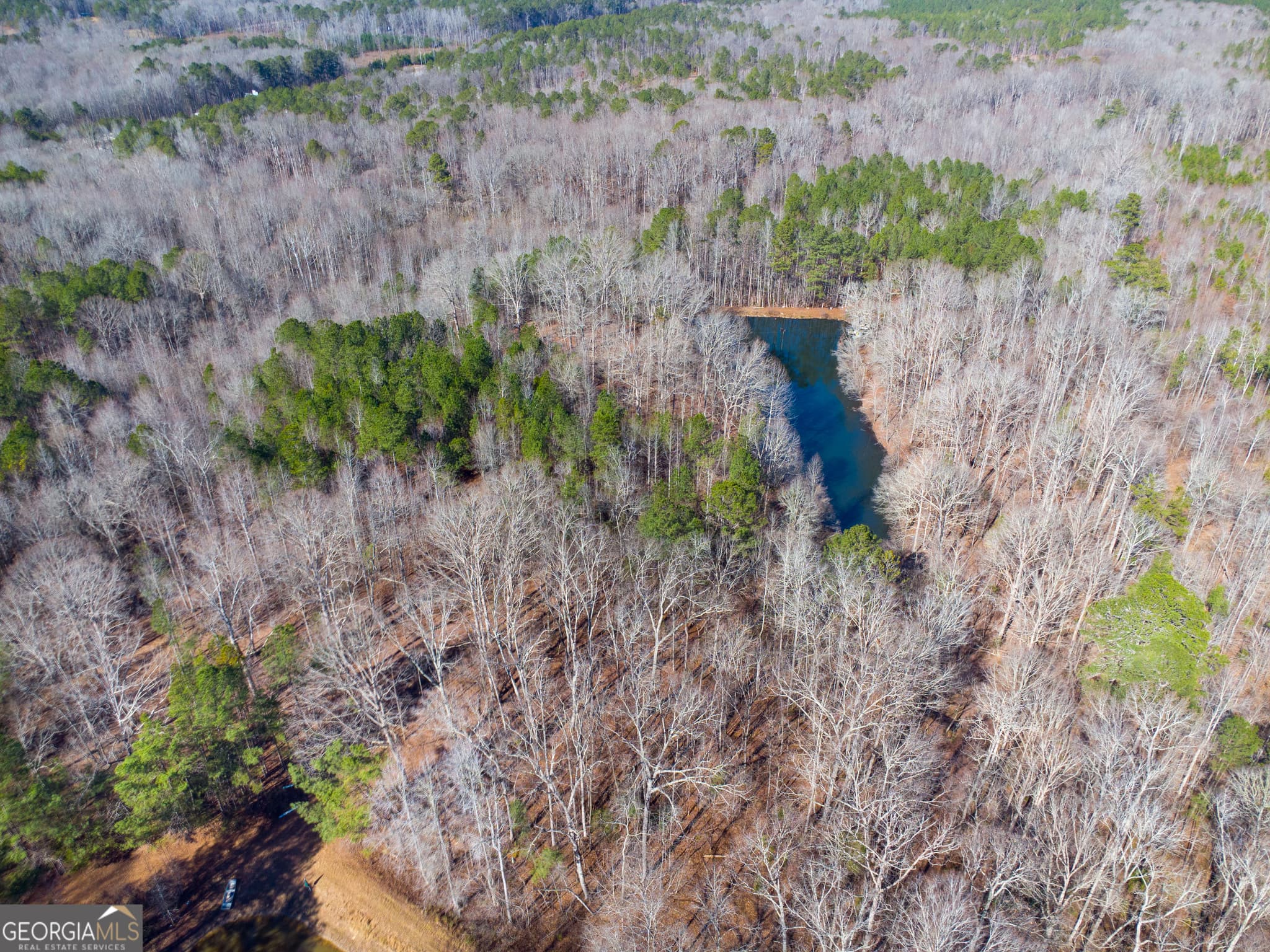residential lot for sale at 0 Levi Bradbury Road, Moreland, GA 30259 — photo 2