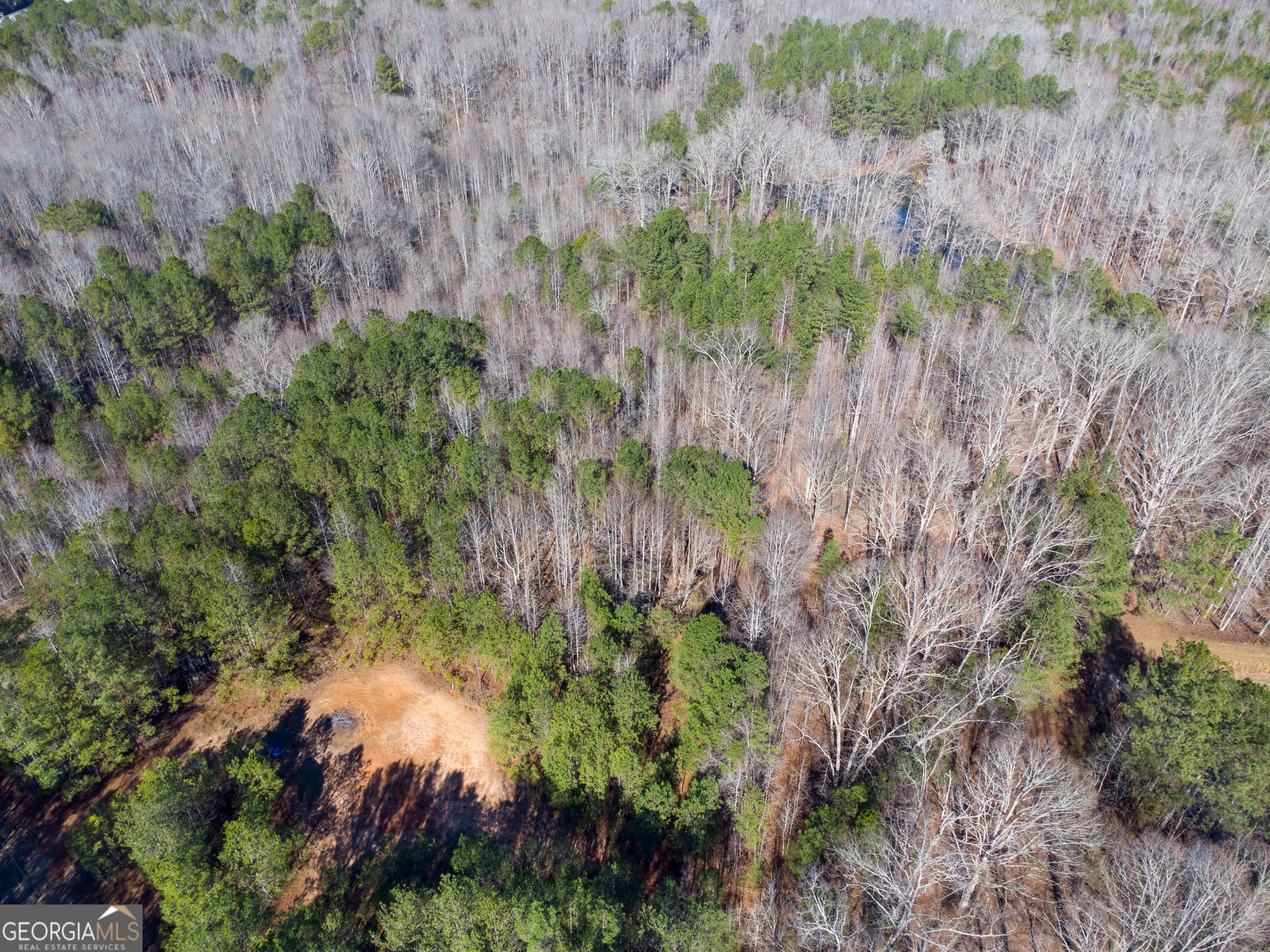 residential lot for sale at 0 Levi Bradbury Road, Moreland, GA 30259 — photo 3
