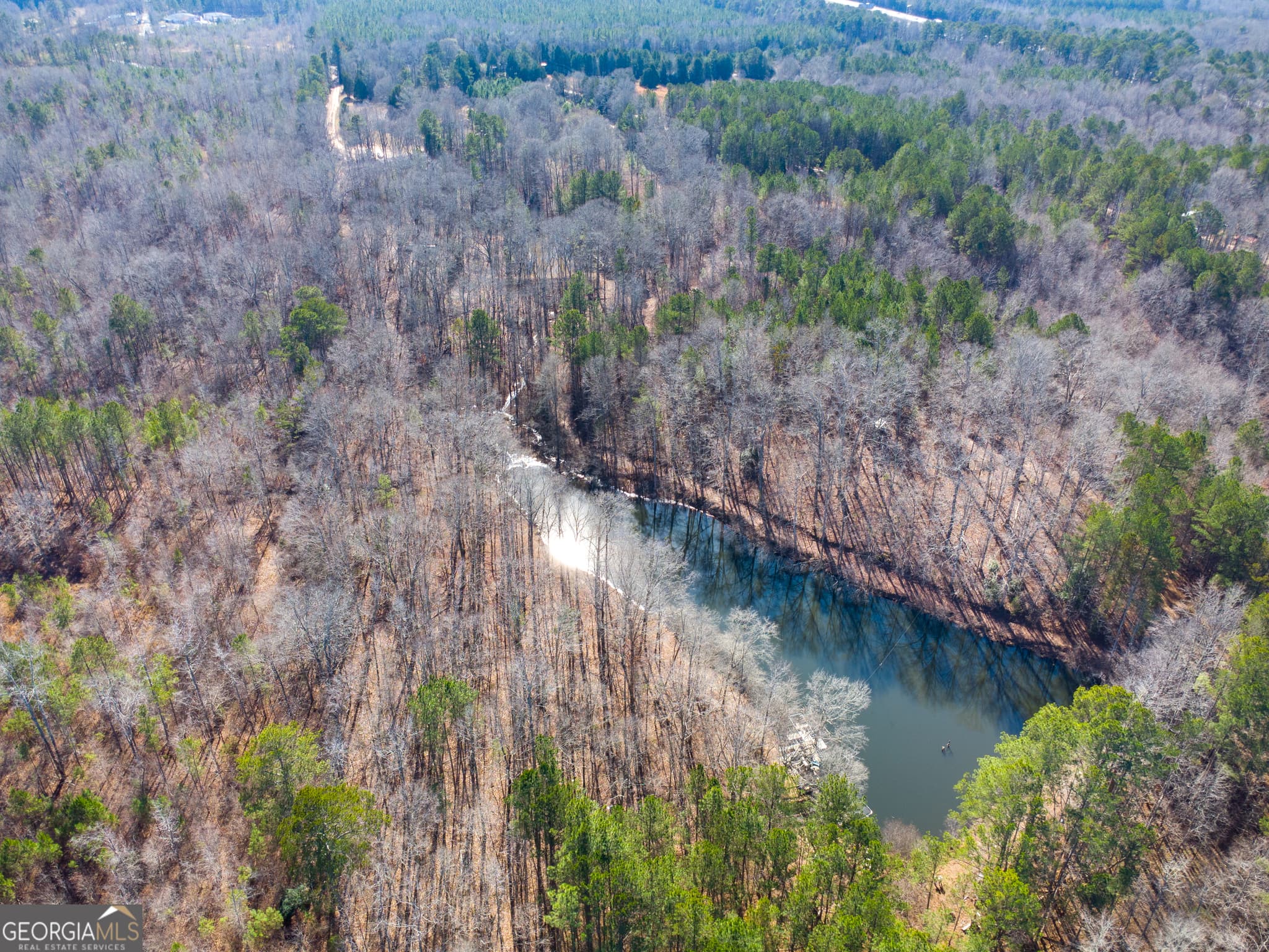 residential lot for sale at 0 Levi Bradbury Road, Moreland, GA 30259 — photo 1 of 5