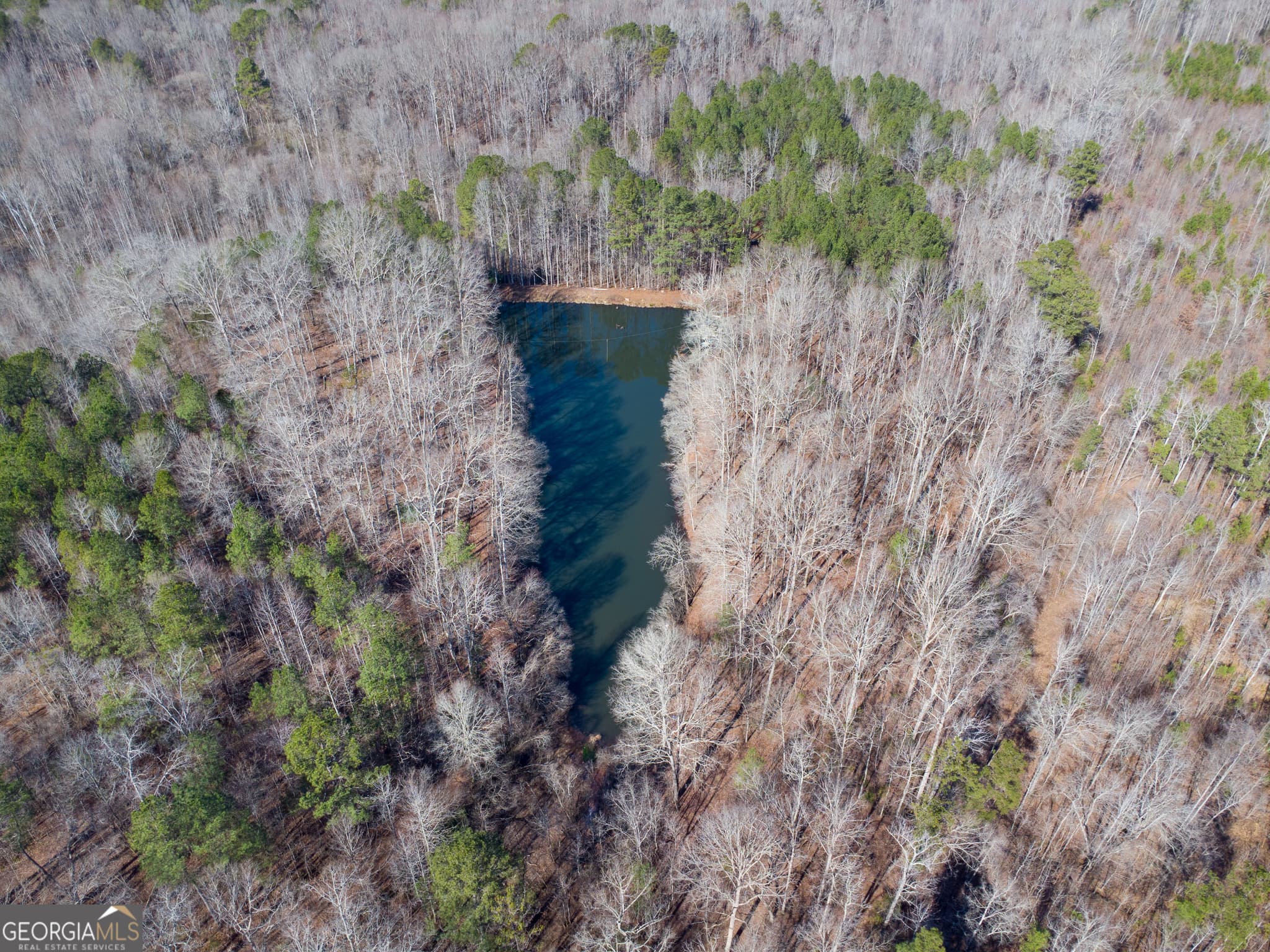 residential lot for sale at 0 Levi Bradbury Road, Moreland, GA 30259 — photo 5