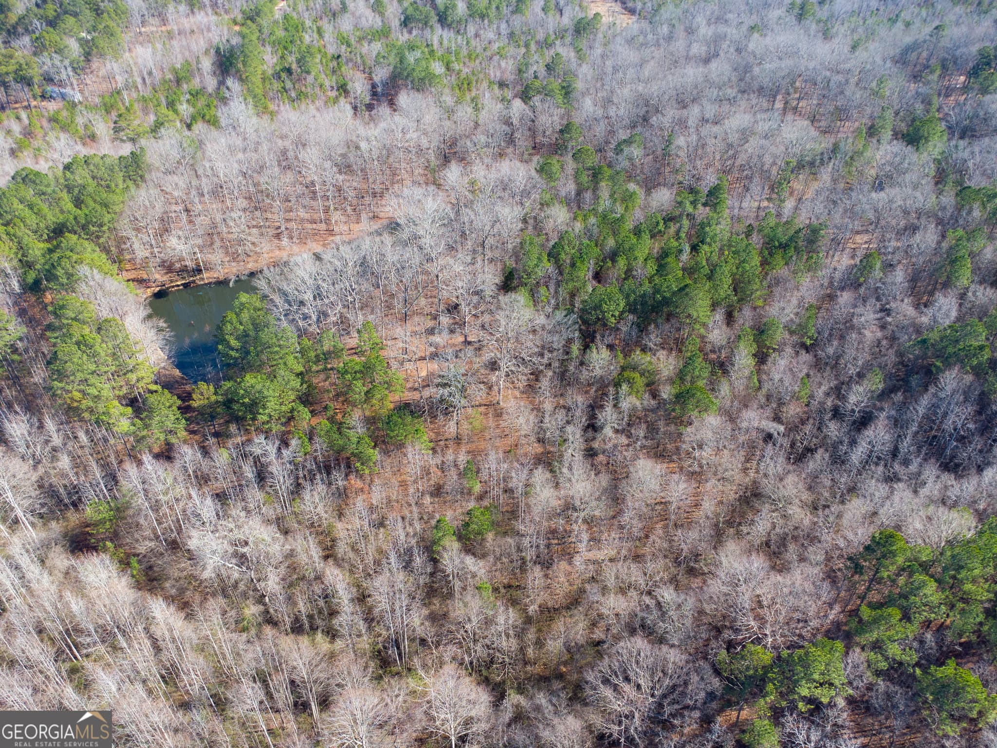 residential lot for sale at 0 Levi Bradbury Road, Moreland, GA 30259 — photo 4