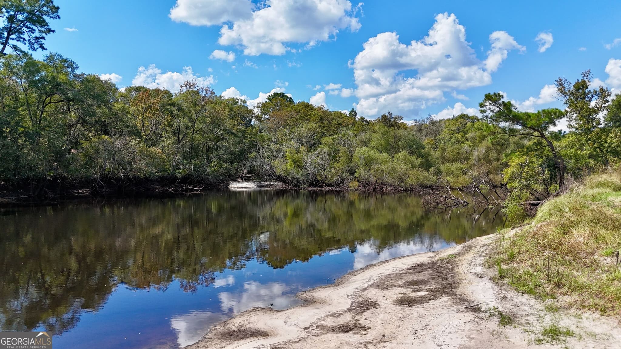 unimproved land for sale at 238 GA Highway 107, Blackshear, GA 31516 — photo 2