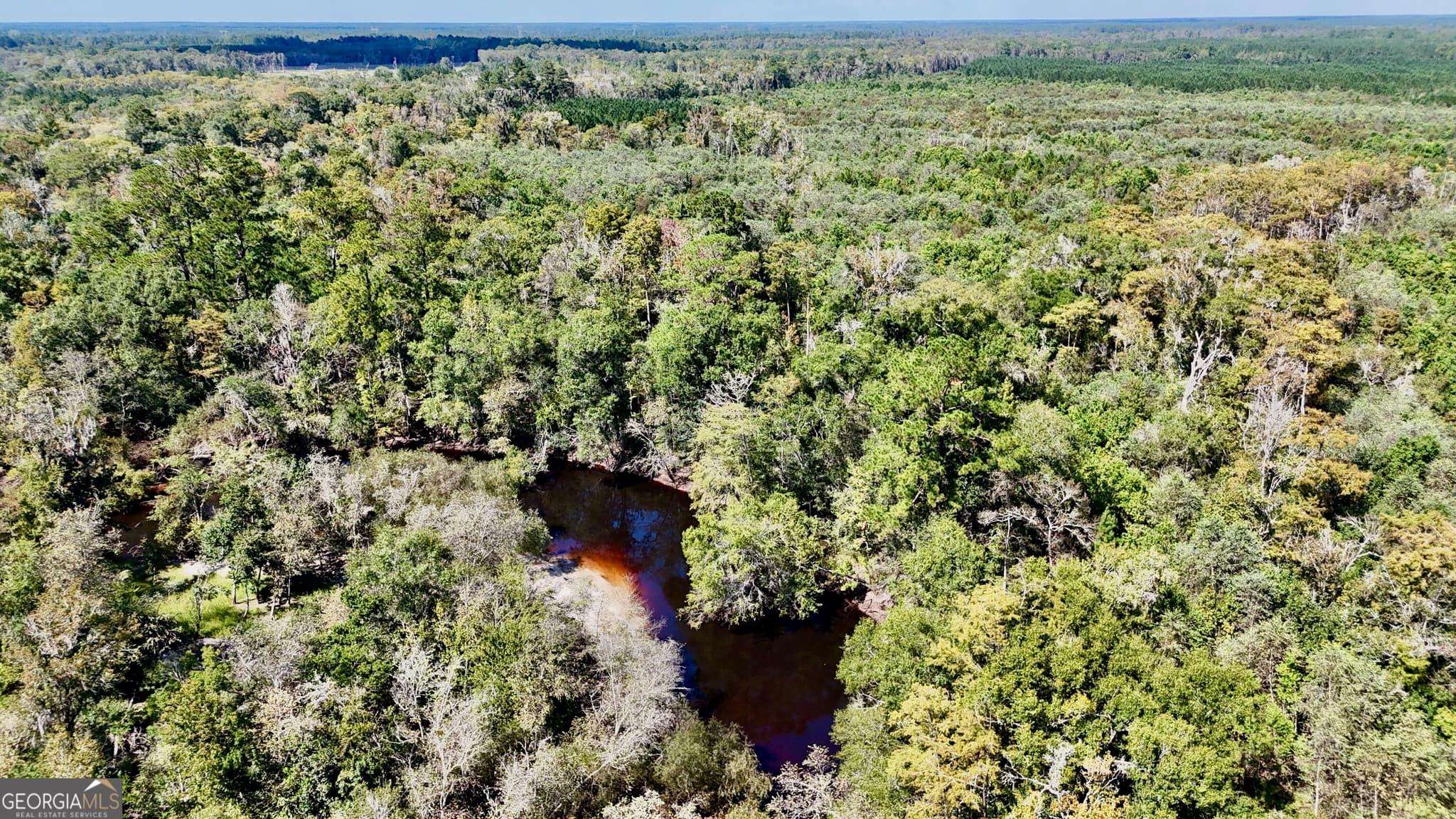 unimproved land for sale at 238 GA Highway 107, Blackshear, GA 31516 — photo 6