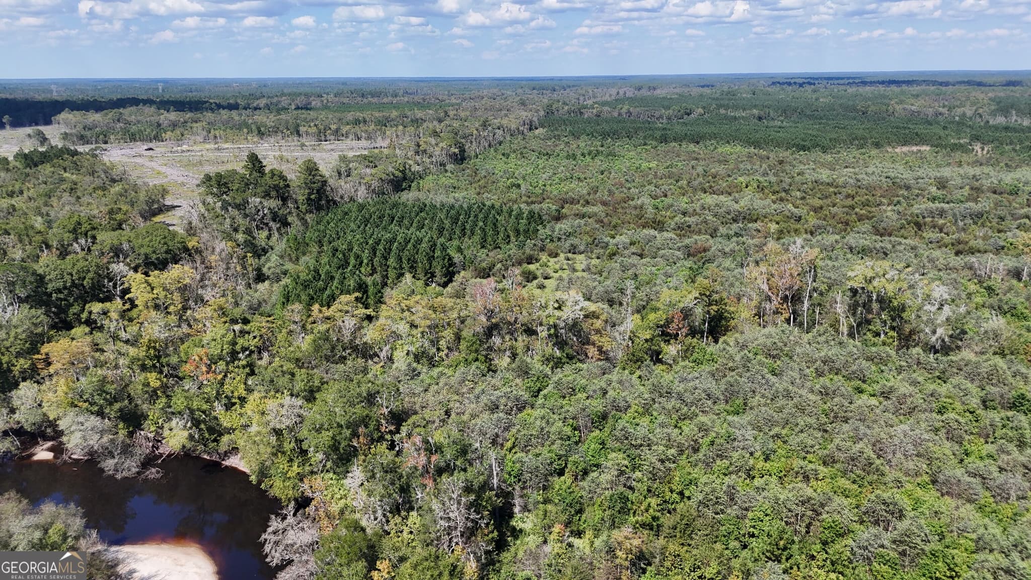 unimproved land for sale at 238 GA Highway 107, Blackshear, GA 31516 — photo 7