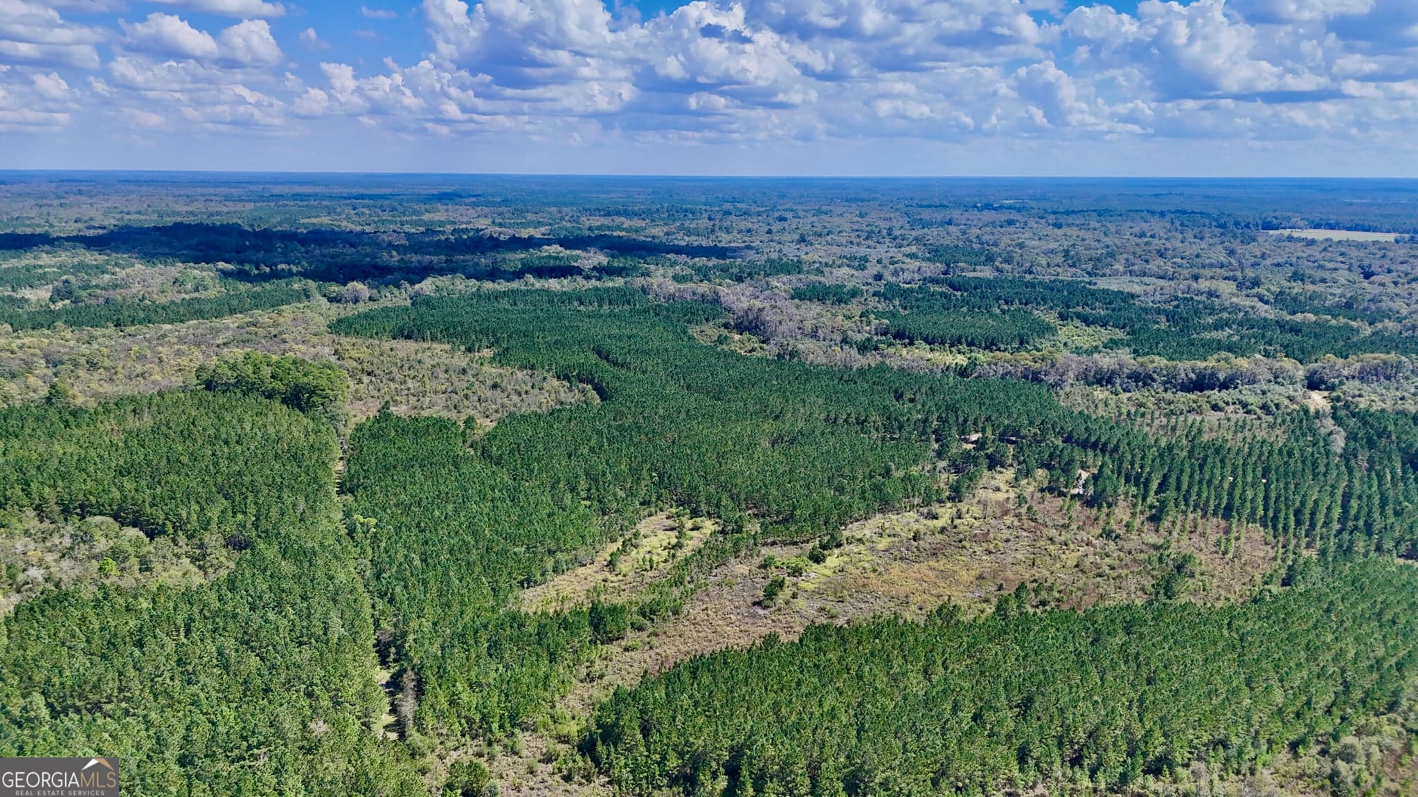 unimproved land for sale at 238 GA Highway 107, Blackshear, GA 31516 — photo 3