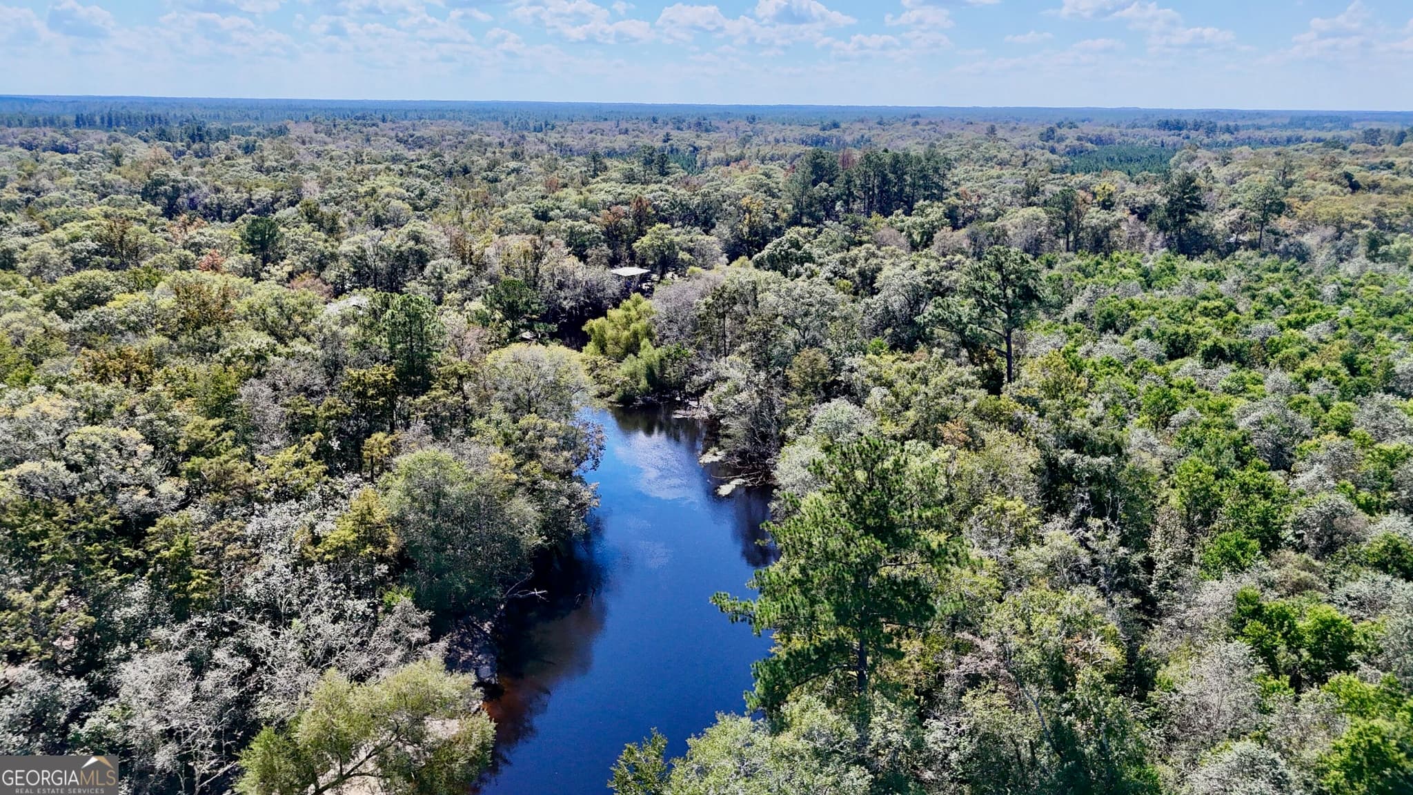 unimproved land for sale at 238 GA Highway 107, Blackshear, GA 31516