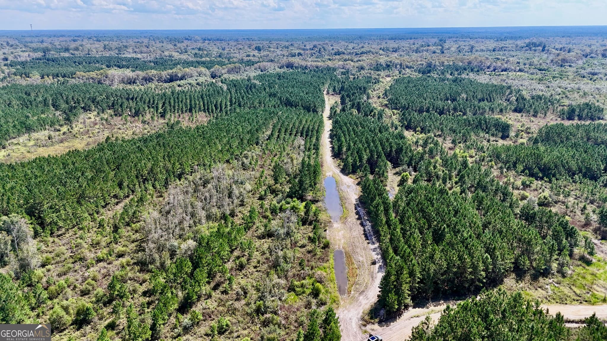 unimproved land for sale at 238 GA Highway 107, Blackshear, GA 31516 — photo 5