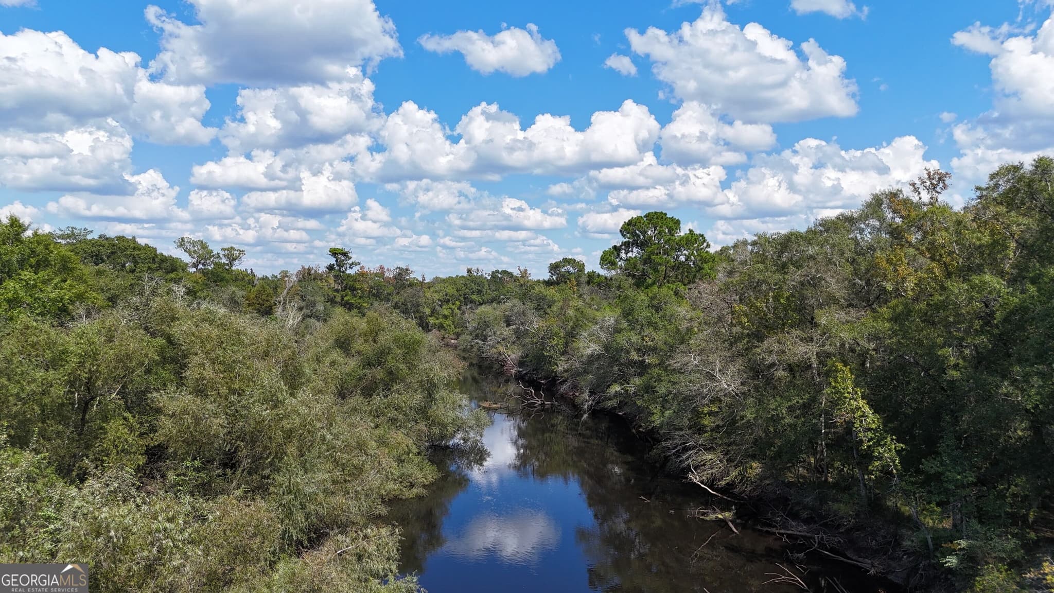 unimproved land for sale at 238 GA Highway 107, Blackshear, GA 31516 — photo 9