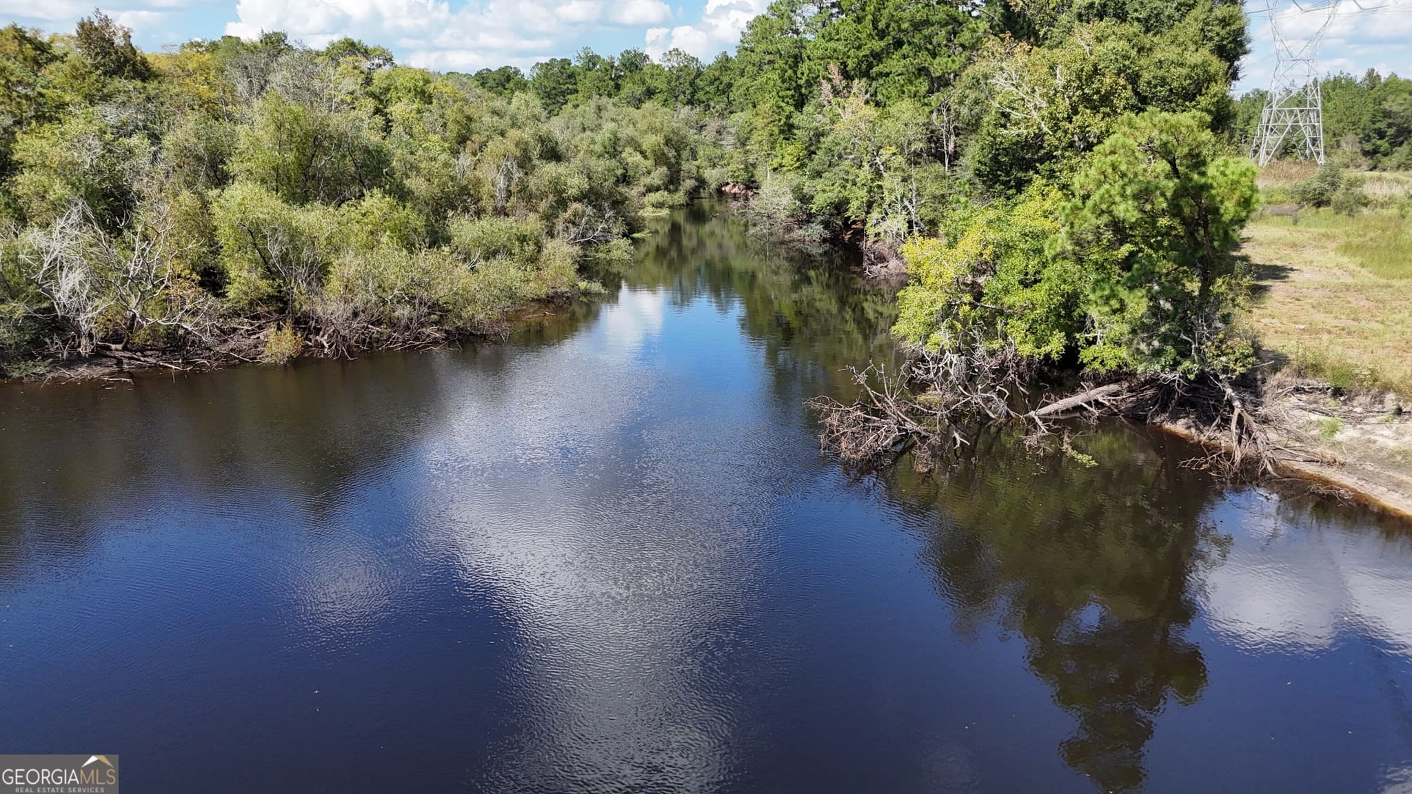 unimproved land for sale at 238 GA Highway 107, Blackshear, GA 31516 — photo 10