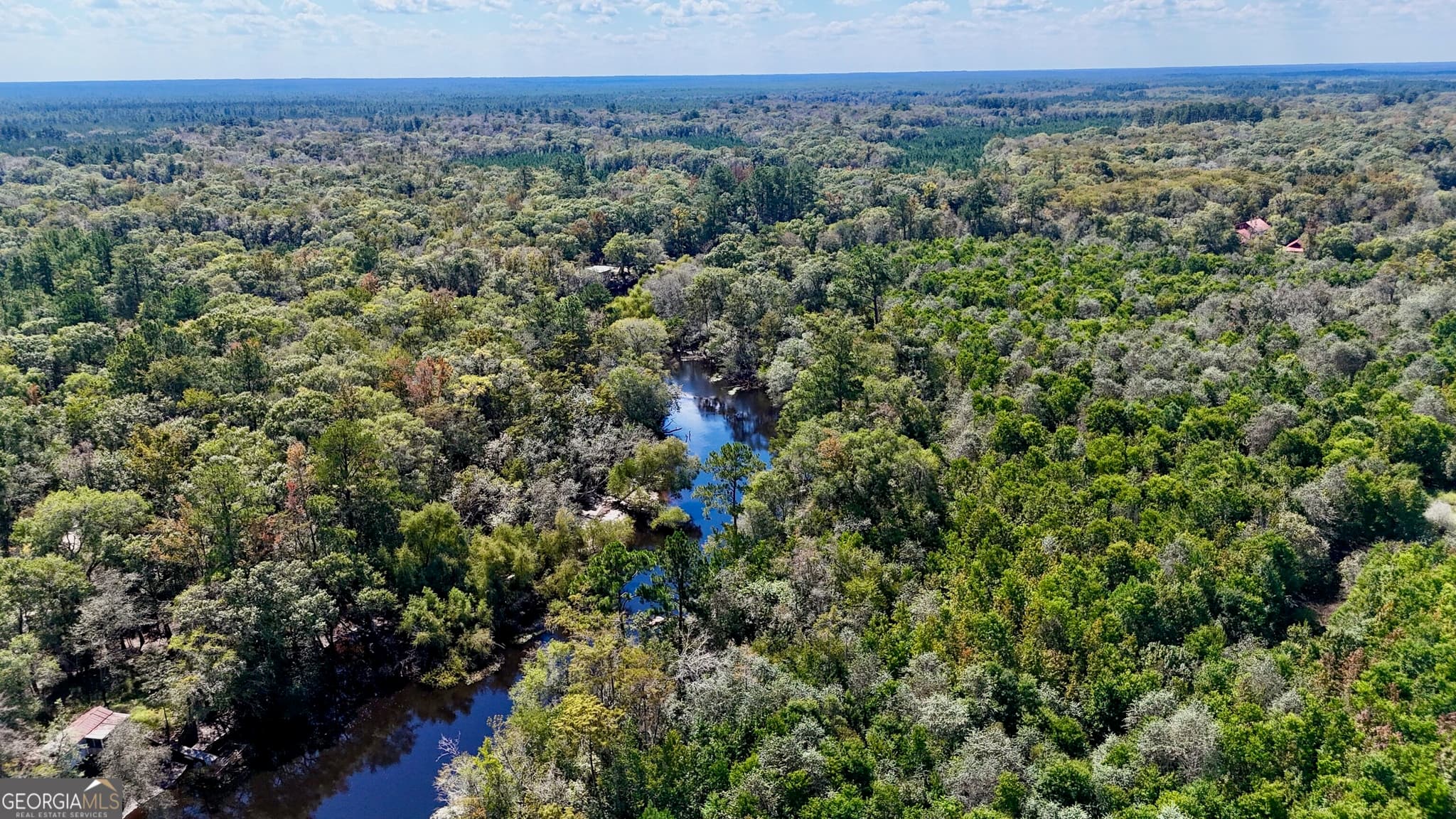 unimproved land for sale at 238 GA Highway 107, Blackshear, GA 31516 — photo 4