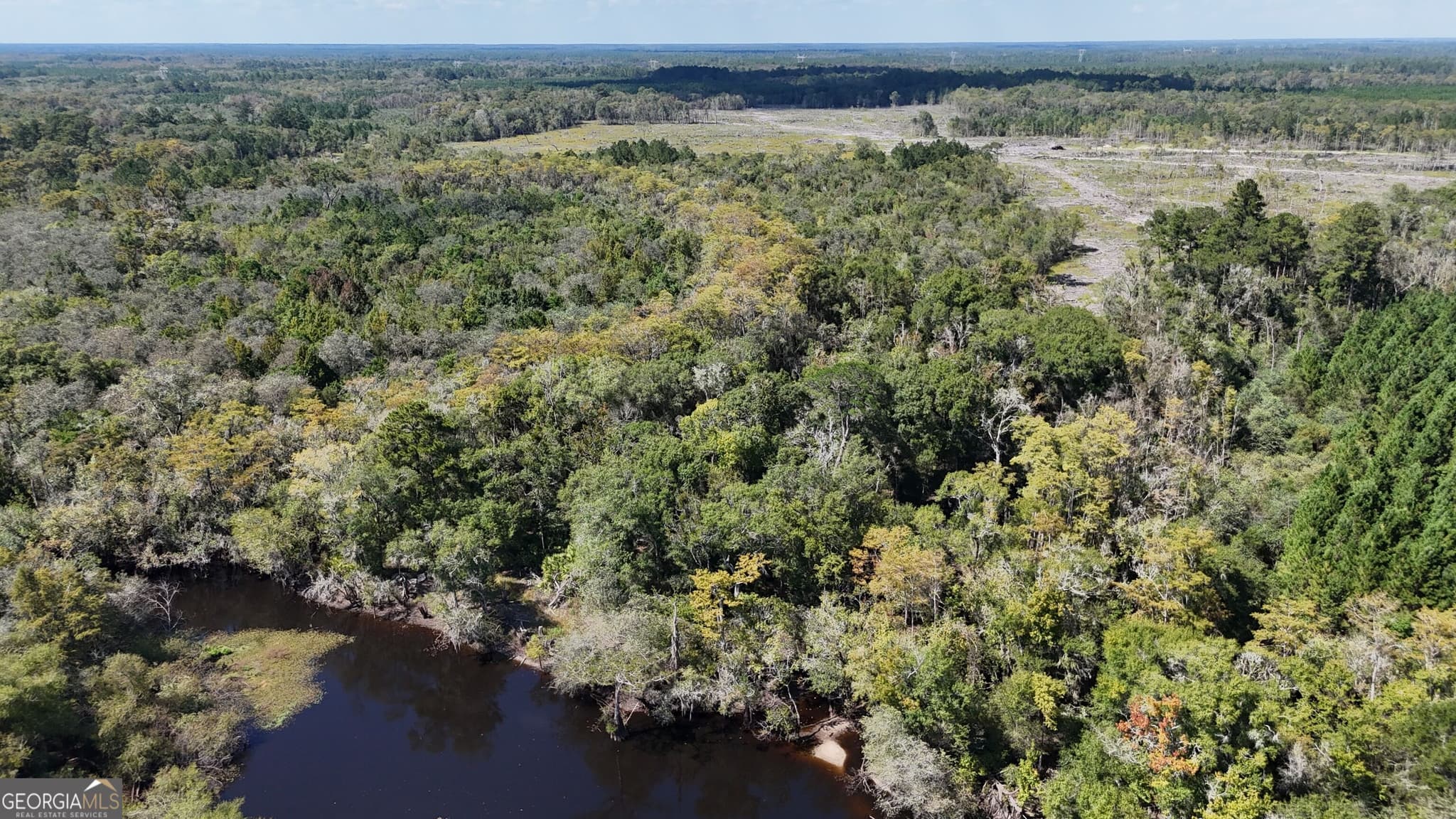 unimproved land for sale at 238 GA Highway 107, Blackshear, GA 31516 — photo 8