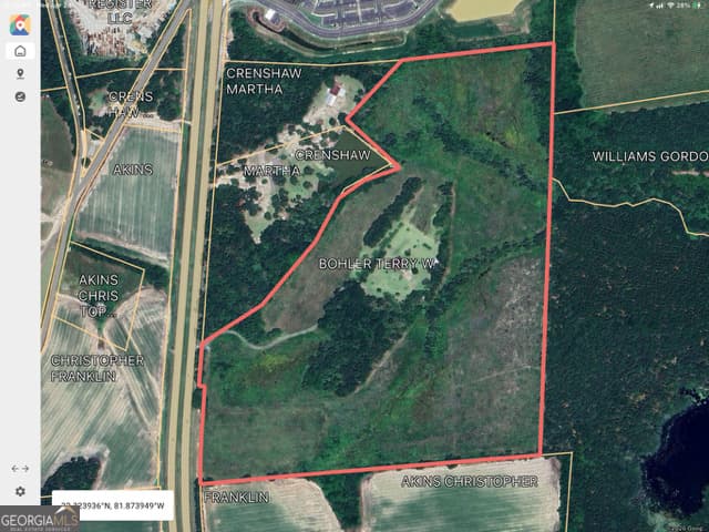 unimproved land for sale at 4530 Us Highway 301, Register, GA 30452 — photo 6