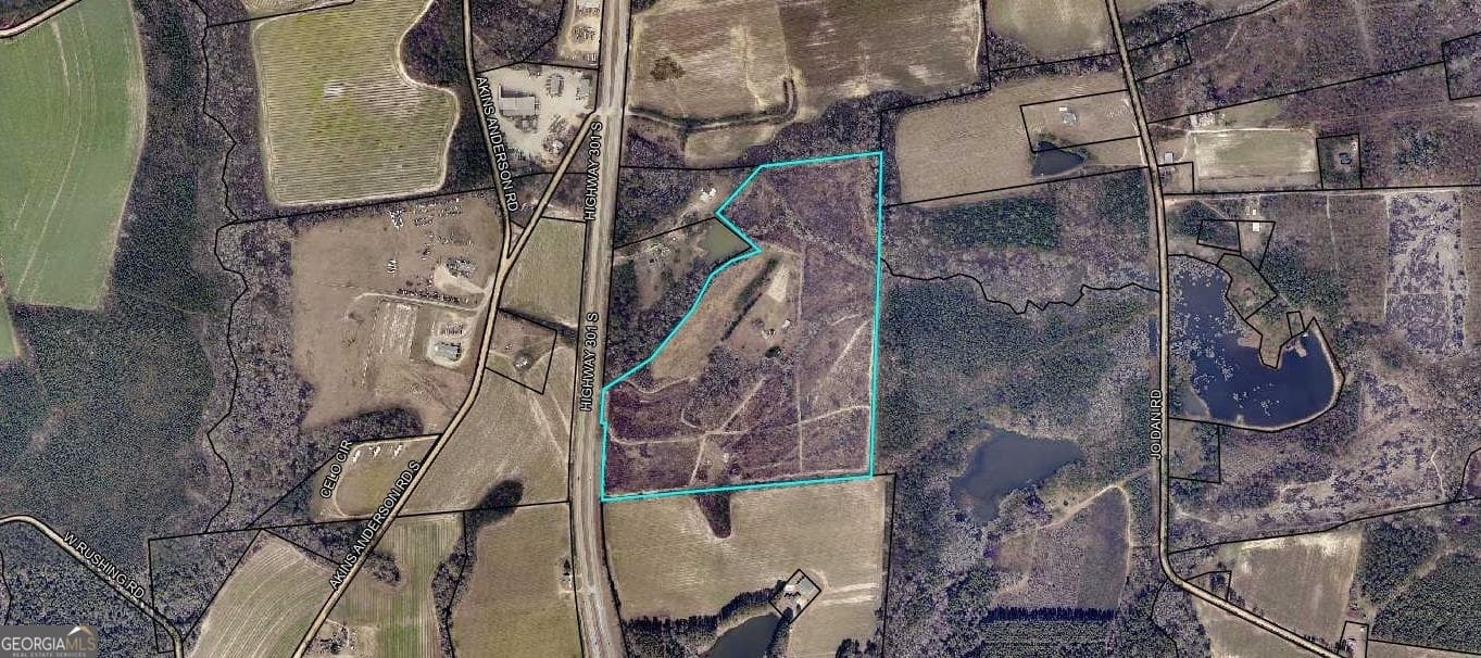 unimproved land for sale at 4530 Us Highway 301, Register, GA 30452 — photo 3
