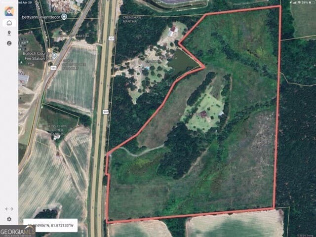 unimproved land for sale at 4530 Us Highway 301, Register, GA 30452 — photo 5