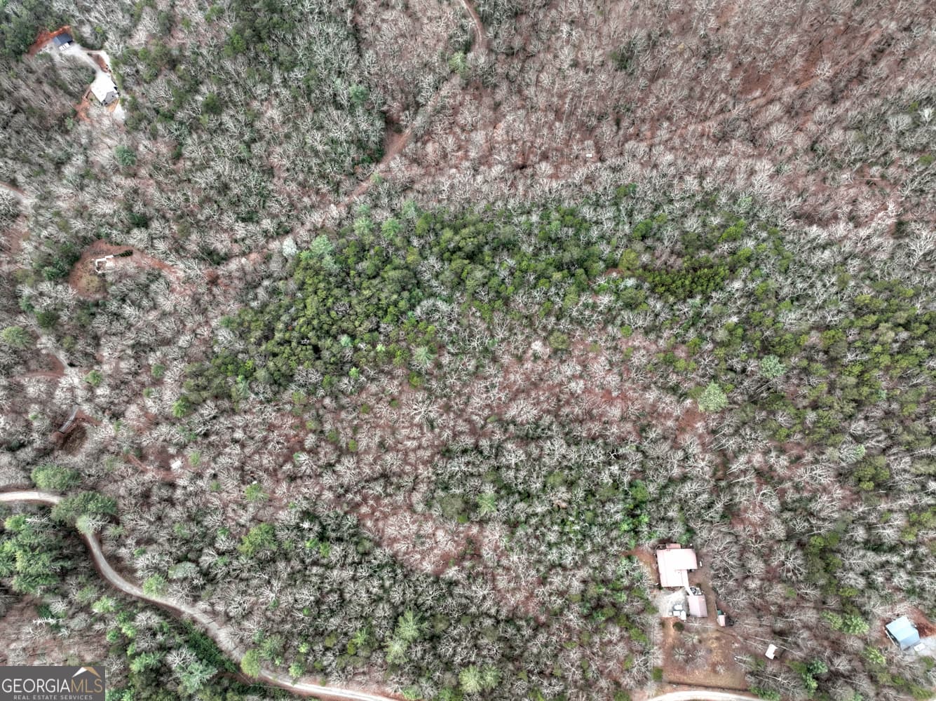 unimproved land for sale at 0 Spruill Drive, Ellijay, GA 30536 — photo 7