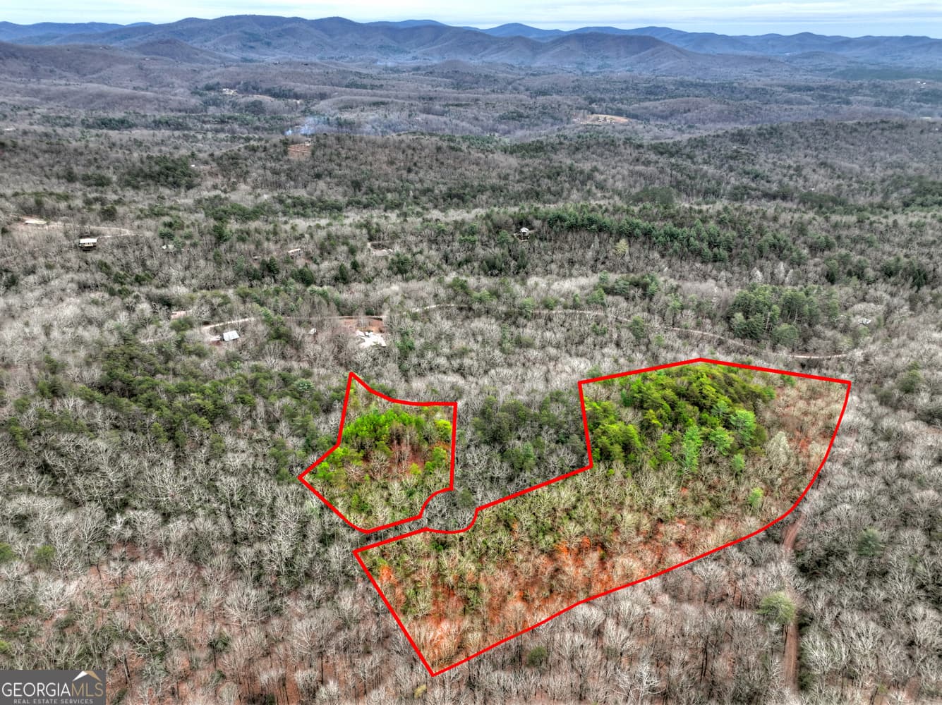 unimproved land for sale at 0 Spruill Drive, Ellijay, GA 30536 — photo 3