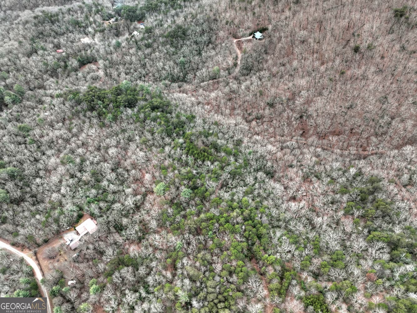 unimproved land for sale at 0 Spruill Drive, Ellijay, GA 30536 — photo 5