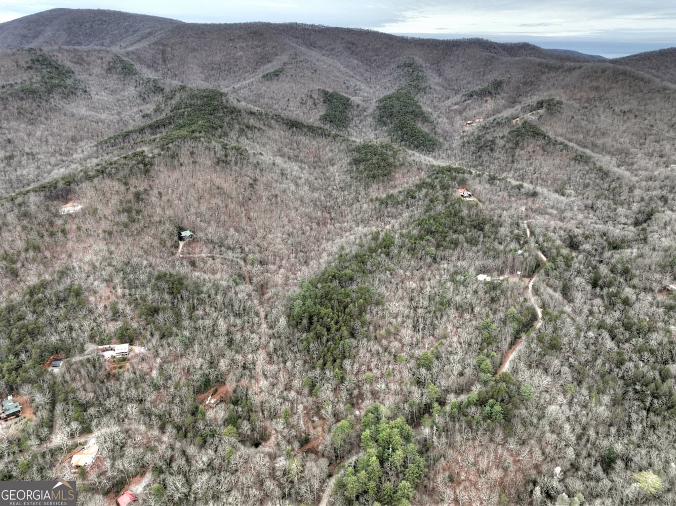 unimproved land for sale at 0 Spruill Drive, Ellijay, GA 30536 — photo 9