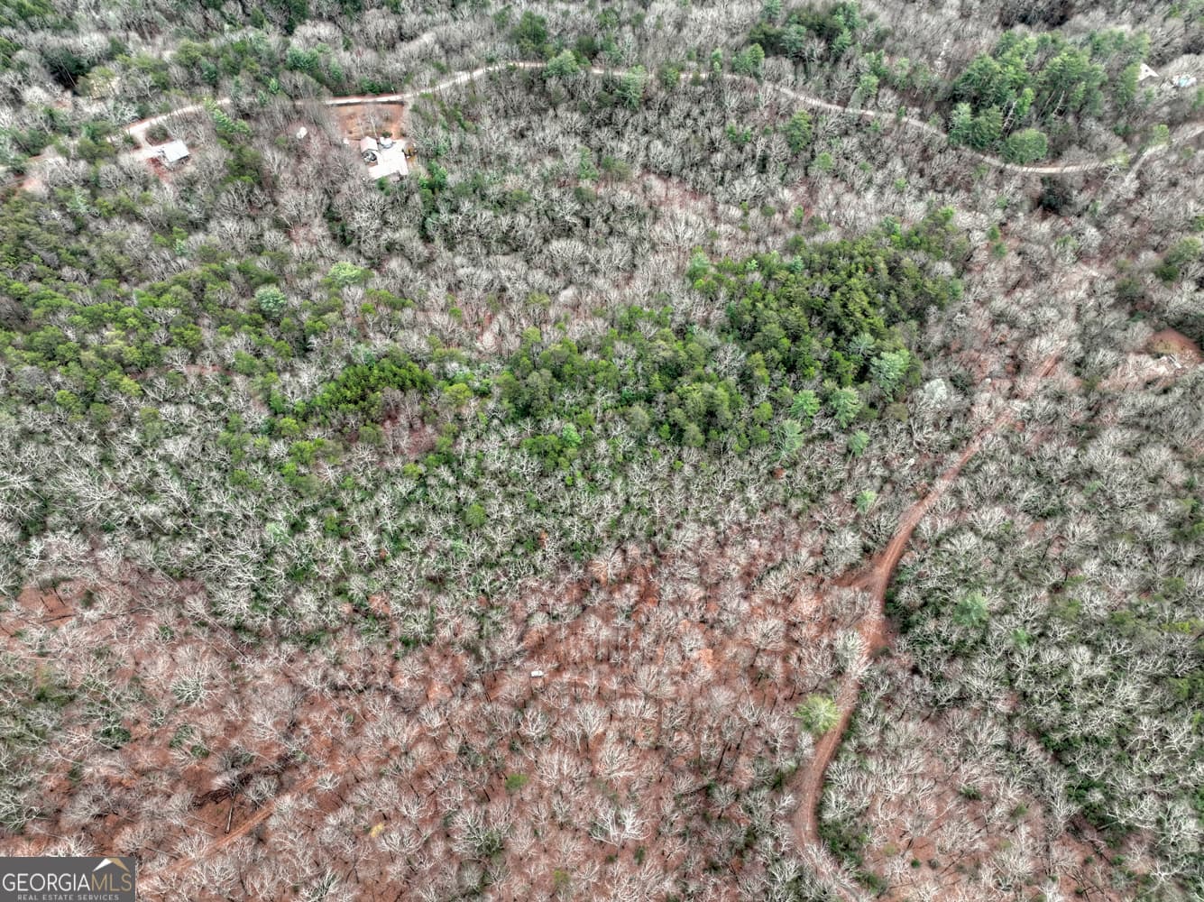 unimproved land for sale at 0 Spruill Drive, Ellijay, GA 30536 — photo 4