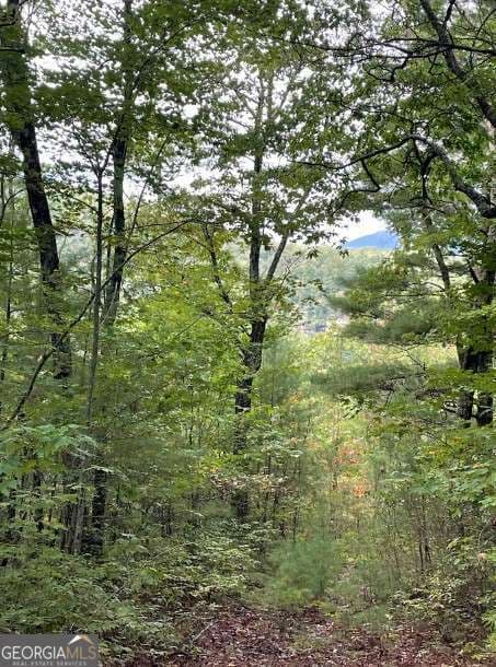 residential lot for sale at LOT 7 Sequoia Hills Lane 7, Clayton, GA 30525 — photo 5