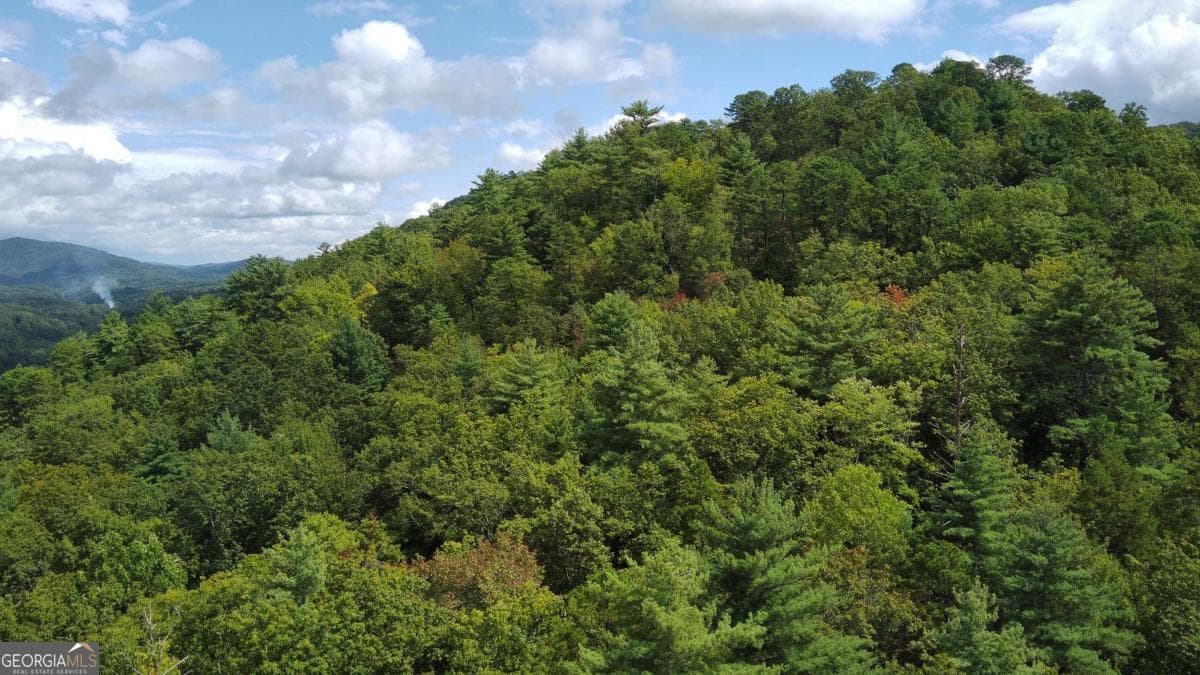 residential lot for sale at LOT 7 Sequoia Hills Lane 7, Clayton, GA 30525 — photo 10