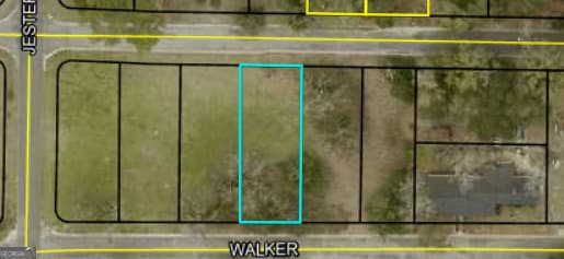residential lot for sale at 176 Walker Street, Camilla, GA 31730 — photo 2