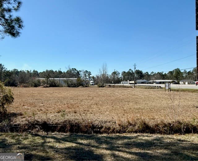 unimproved land for sale at 0 Hatch Parkway, Baxley, GA 31513 — photo 2