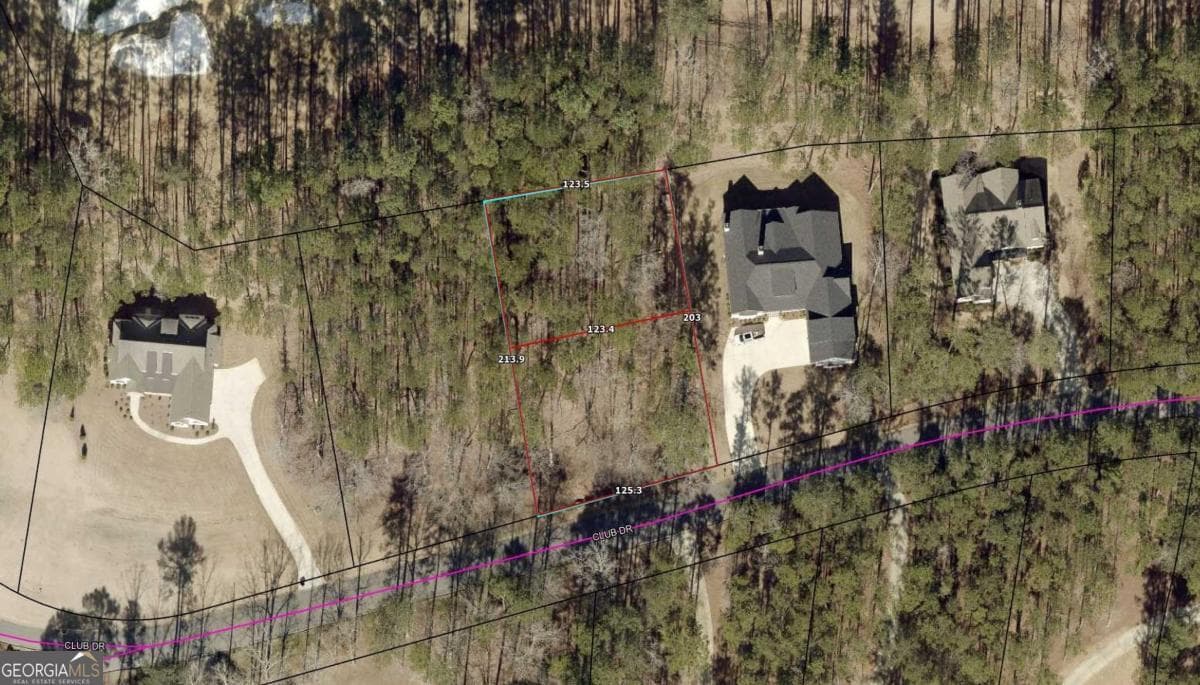 residential lot for sale at 1580 Club Drive, Greensboro, GA 30642 — photo 2