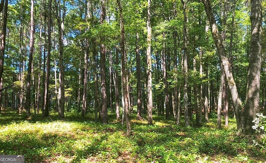 residential lot for sale at 1580 Club Drive, Greensboro, GA 30642 — photo 6