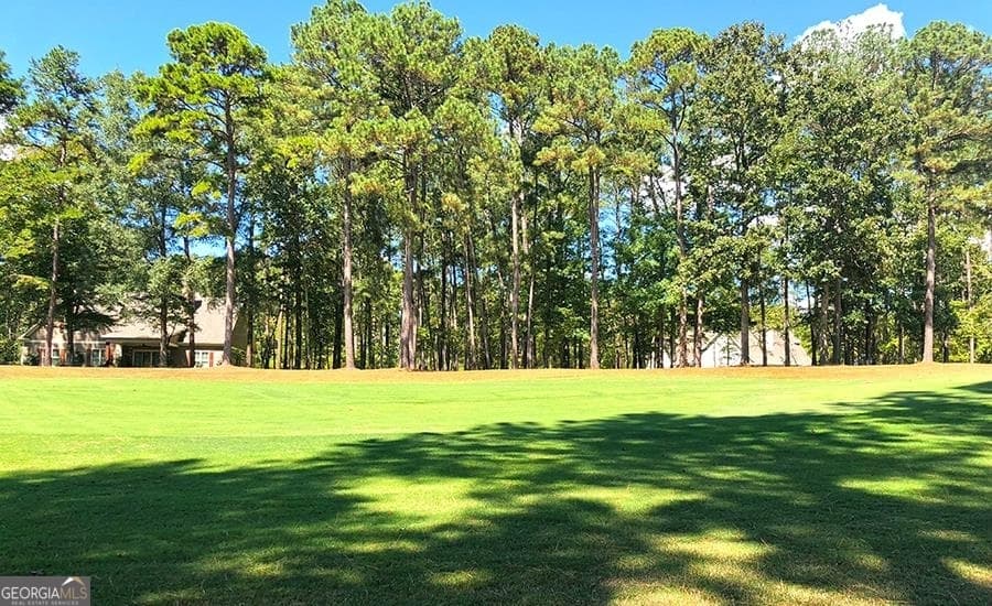 residential lot for sale at 1580 Club Drive, Greensboro, GA 30642 — photo 7