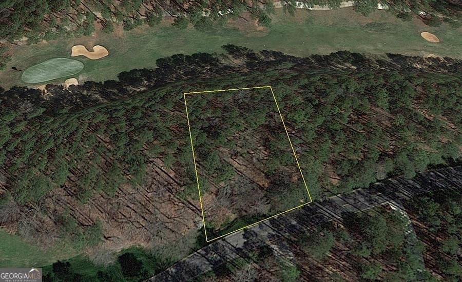 residential lot for sale at 1580 Club Drive, Greensboro, GA 30642 — photo 3