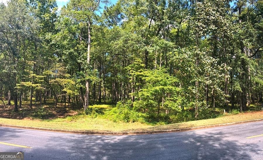 residential lot for sale at 1580 Club Drive, Greensboro, GA 30642 — photo 5
