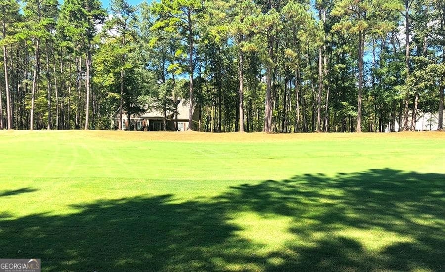 residential lot for sale at 1580 Club Drive, Greensboro, GA 30642 — photo 9