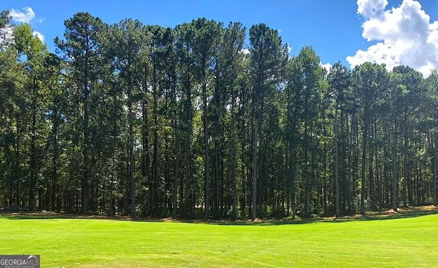 residential lot for sale at 1580 Club Drive, Greensboro, GA 30642 — photo 10