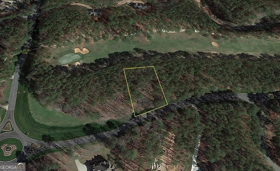 residential lot for sale at 1580 Club Drive, Greensboro, GA 30642 — photo 4