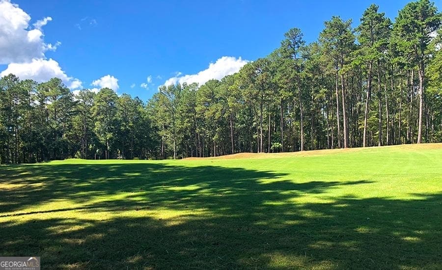 residential lot for sale at 1580 Club Drive, Greensboro, GA 30642 — photo 8