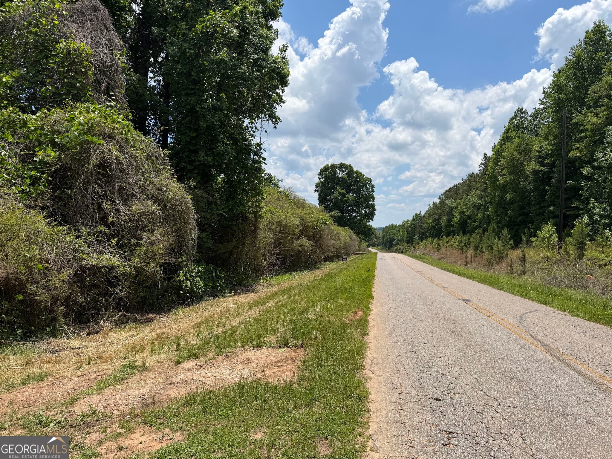 agriculture for sale at 0 County Road 87 4, Roanoke, AL 36274