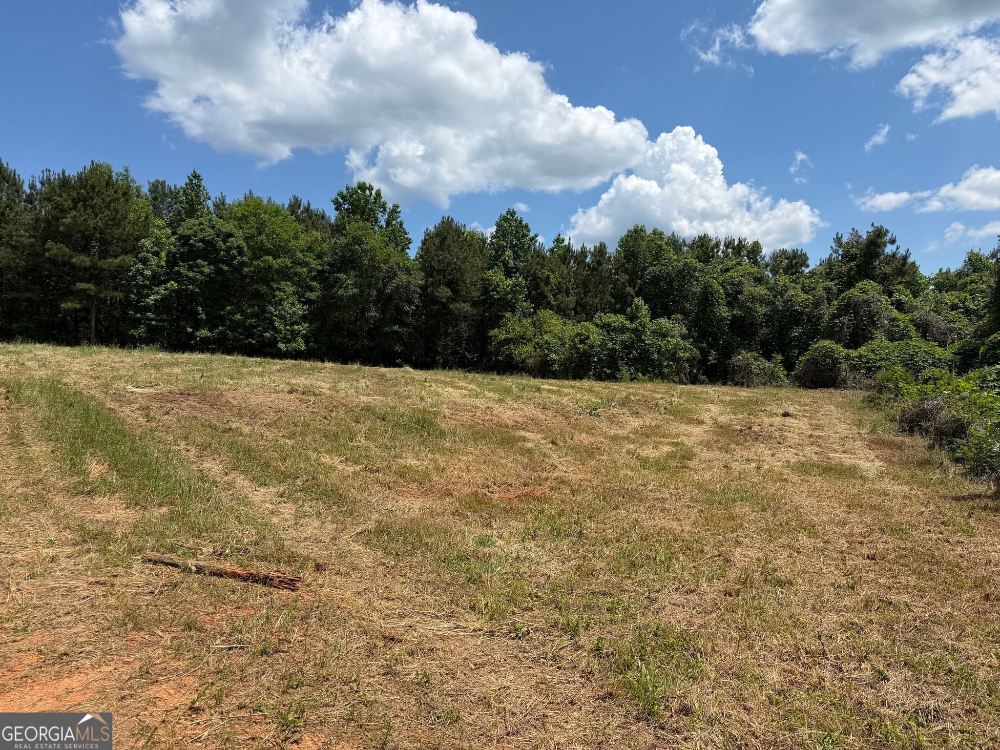 agriculture for sale at 0 County Road 87 4, Roanoke, AL 36274 — photo 10
